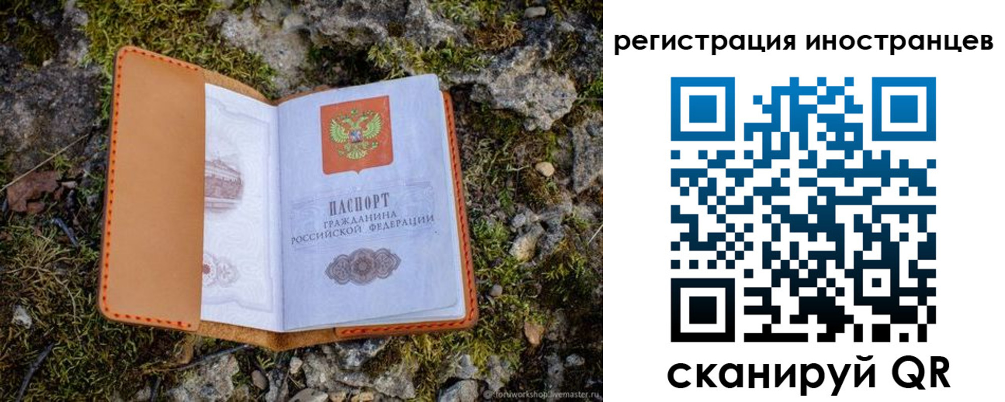 прописка паспорт в Заполярном